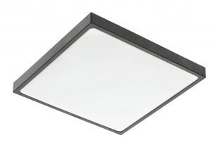 Світильник GTV ALTAR, 295x295mm, 4000K, 24W, IP44, чорний LD-ALT24W-NW-10 фото